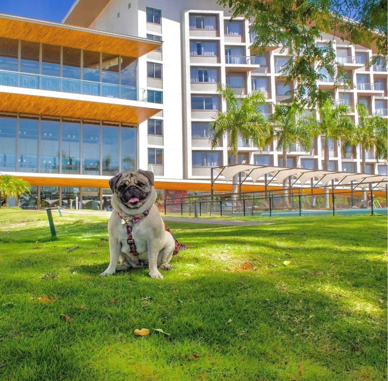 Novotel Itu Terras De Sao Jose Golf & Resort Exteriér fotografie